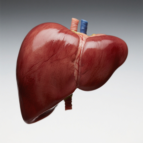 Is your liver in poor condition? These Problems Need Attention